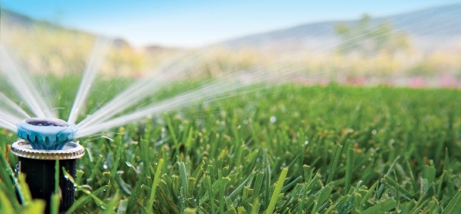 sprinkler close up