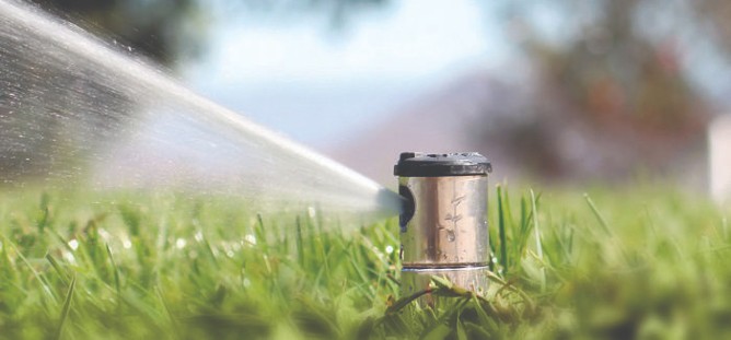 Sprinkle and Irrigation System Close up