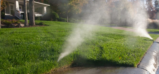 sprinklers