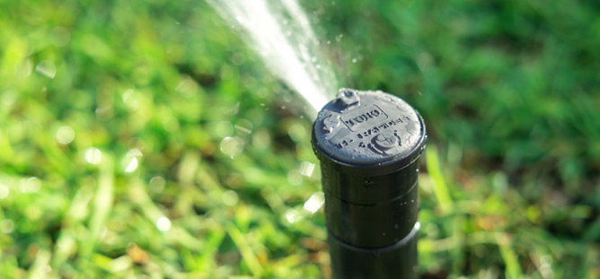 sprinkler in grass