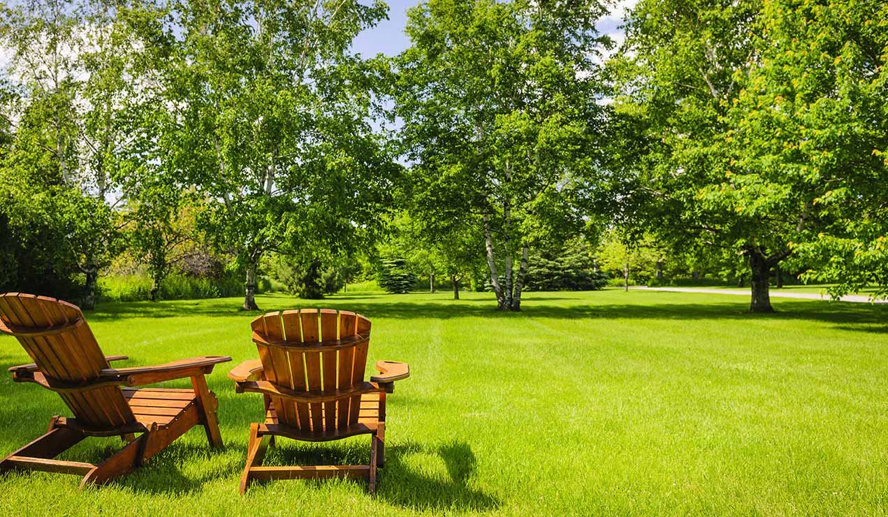 green grass and chairs