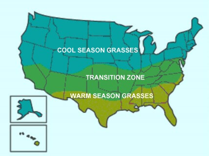 Cool Season Grasses | Transition Zone | Warm Season Grasses