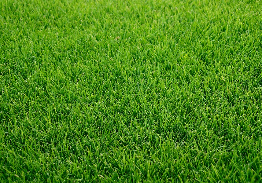 Lawn sprinkler install