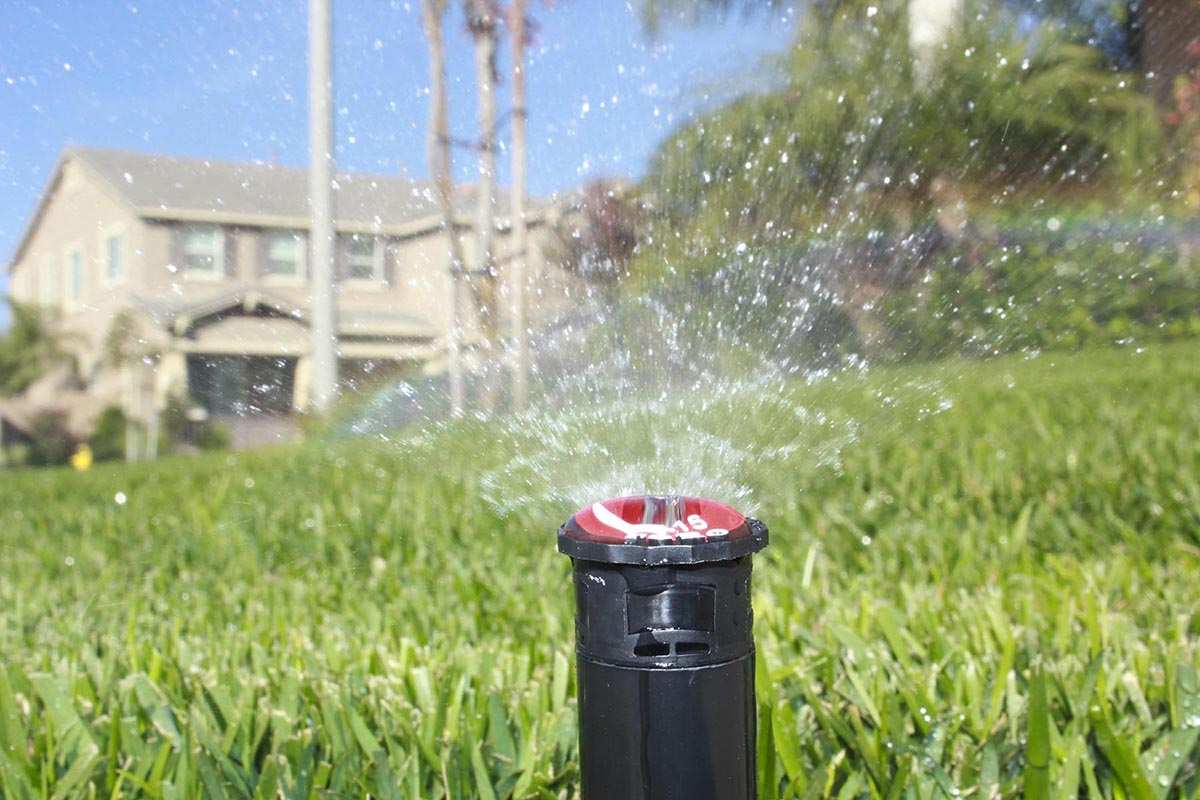 Sprinkler in lawn