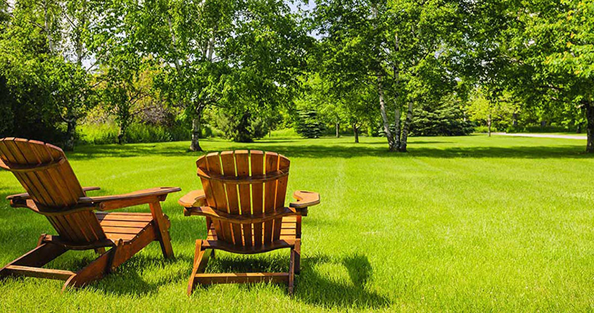 Park with green trees and grass and two lounge chairs