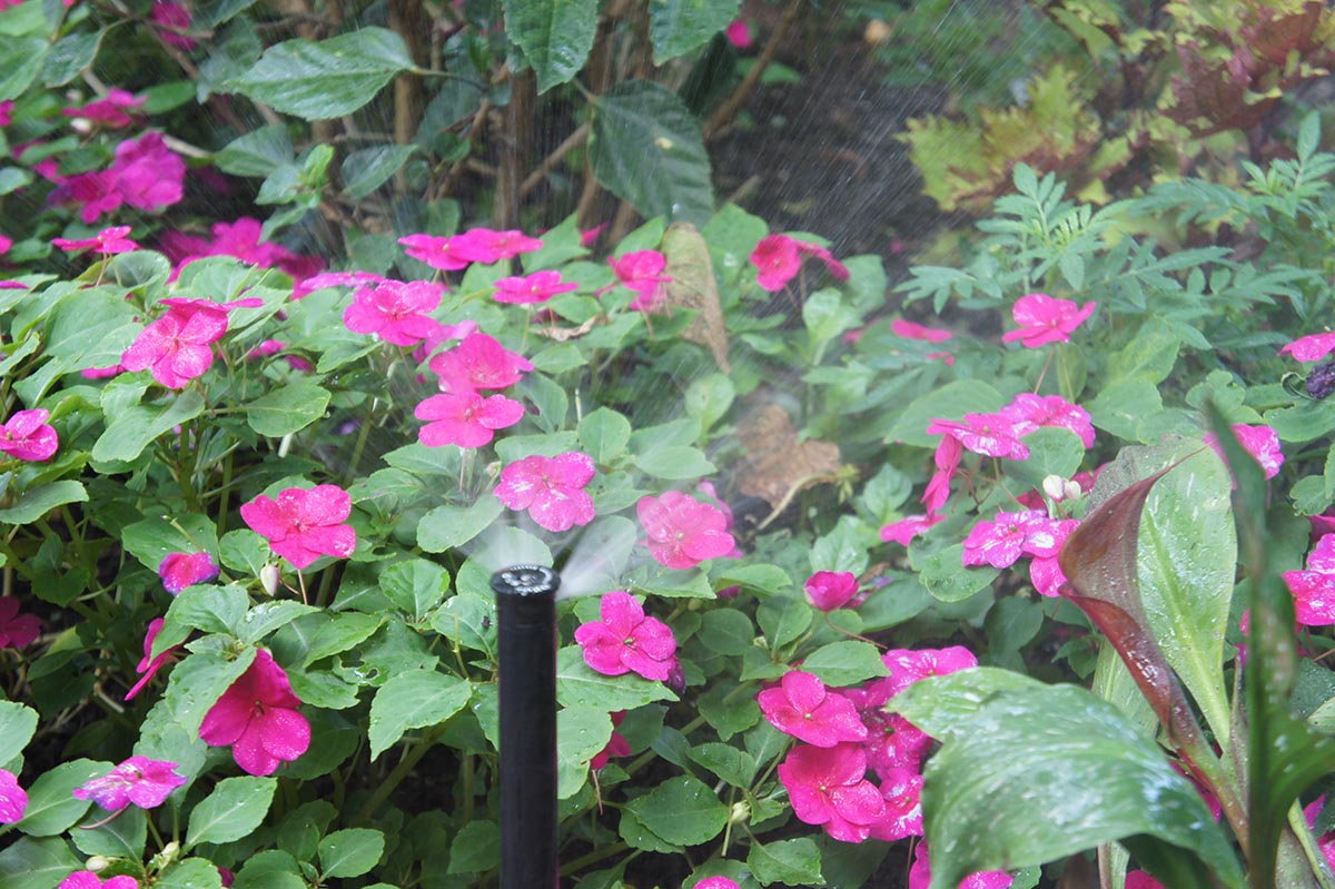 Southlake Sprinkler Repair