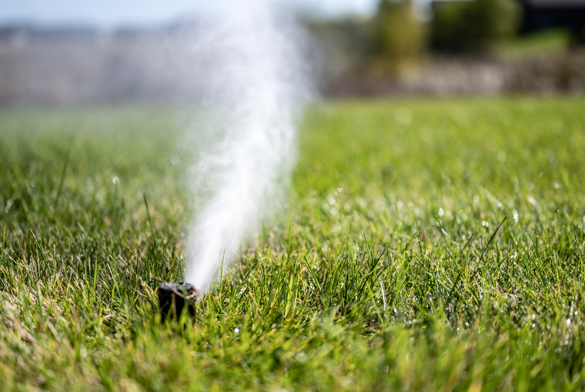 blowing out sprinkler during winterization process