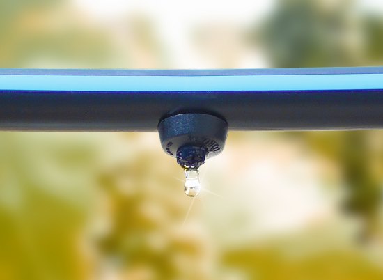 A close up image of a drip head