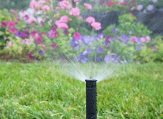 Sprinkler spraying with floral beds in the background
