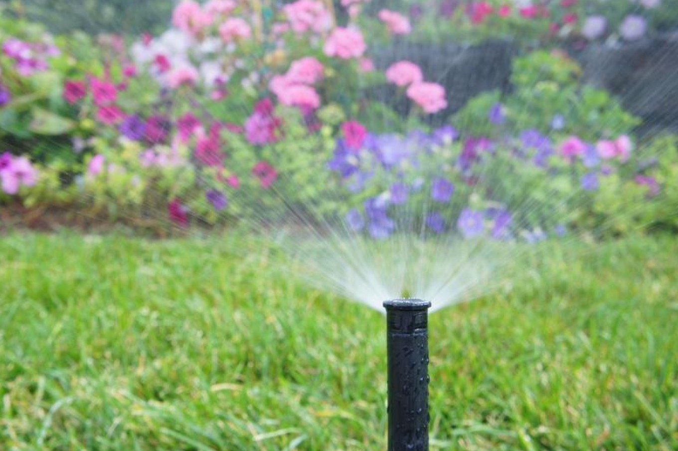 Irrigation Installation in the Denton Area