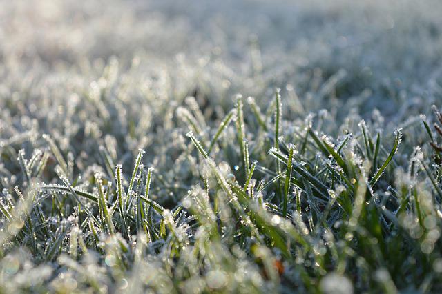 Winterized irrigation system underneath frozen Charlotte South Lawn