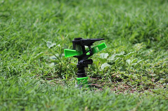 Sprinkler head in a South Charlotte lawn attached to a winterized system