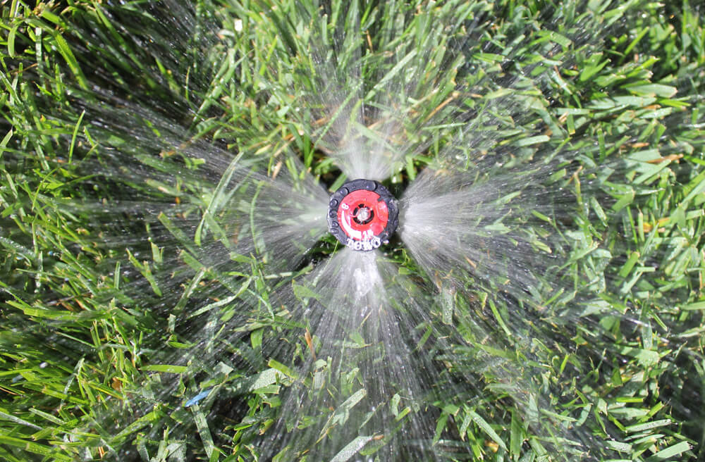 Sprinkler watering a lawn