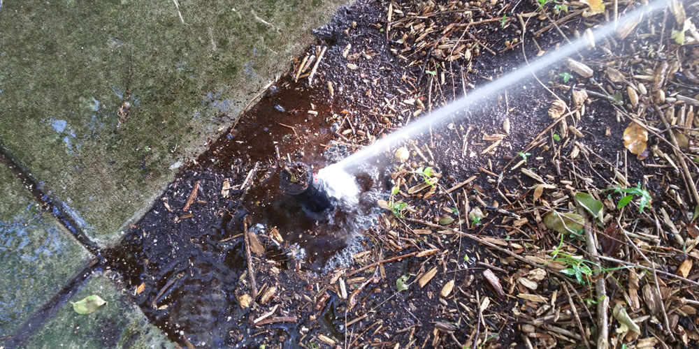 Broken Sprinkler Leaking Water