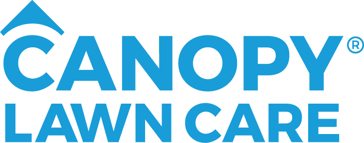 Canopy Logo Stacked Blue