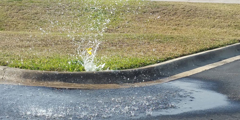 broken sprinkler head Sarasota, Florida