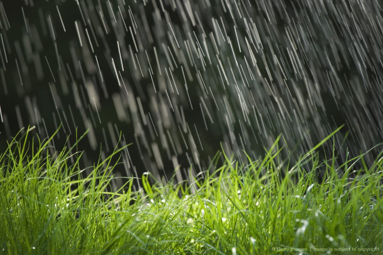 Water falling on grass 