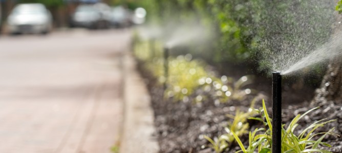irrigation system