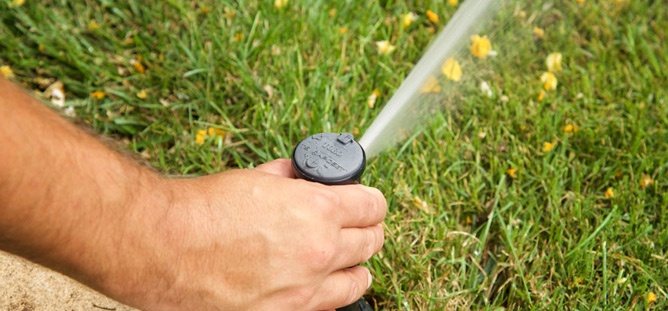 Sprinkler Head Repairs Venice FL