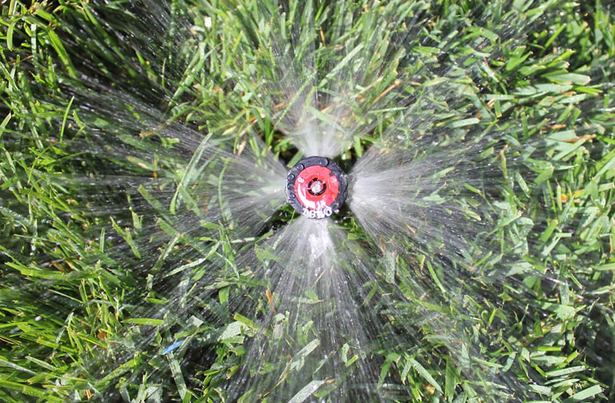 sprinkler and grass