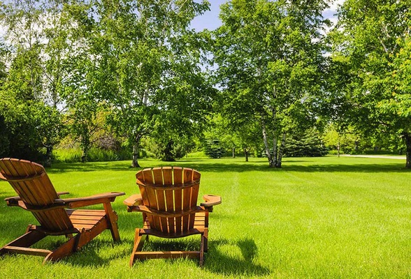 Two wooden chairs in a open grass park with trees