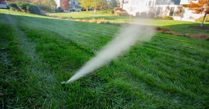 irrigation system having water blown out for winterization