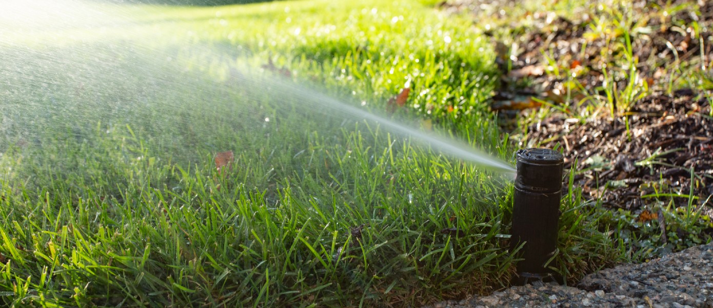Sprinkler spraying water on a grass lawn from a side angle