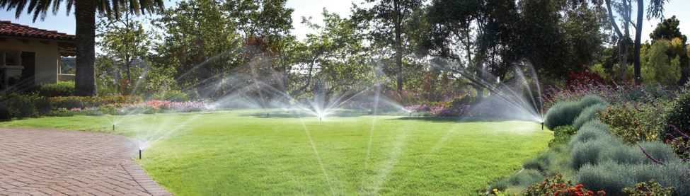 large grass area surrounded by bushes and trees being watered by multiple sprinklers
