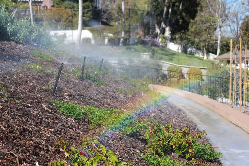 sprinkler in a neighborhood community 