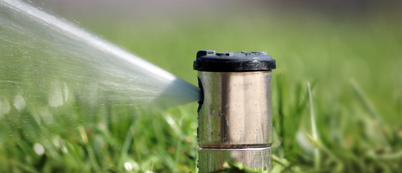 Sprinkler in lawn