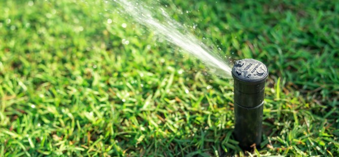 sprinkler