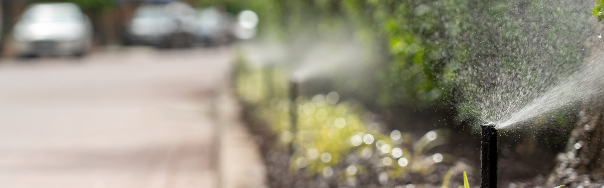 Sprinklers spraying water near a straight curb.