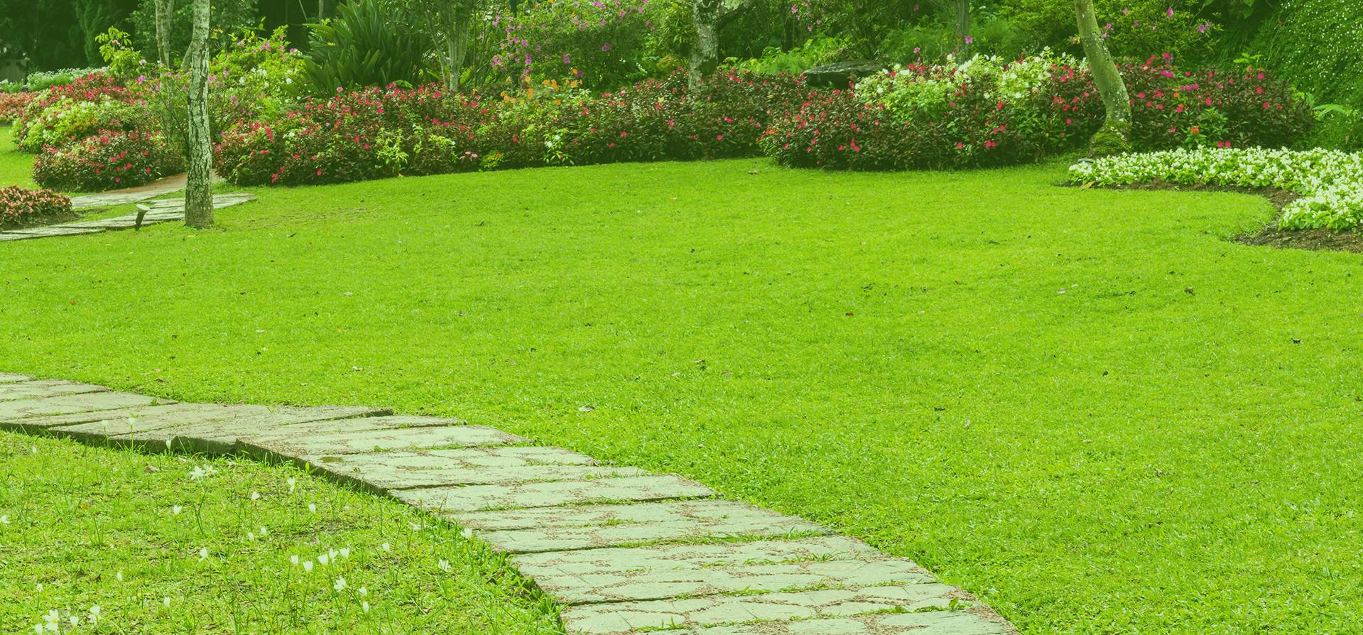 Green grass field with stone walkway