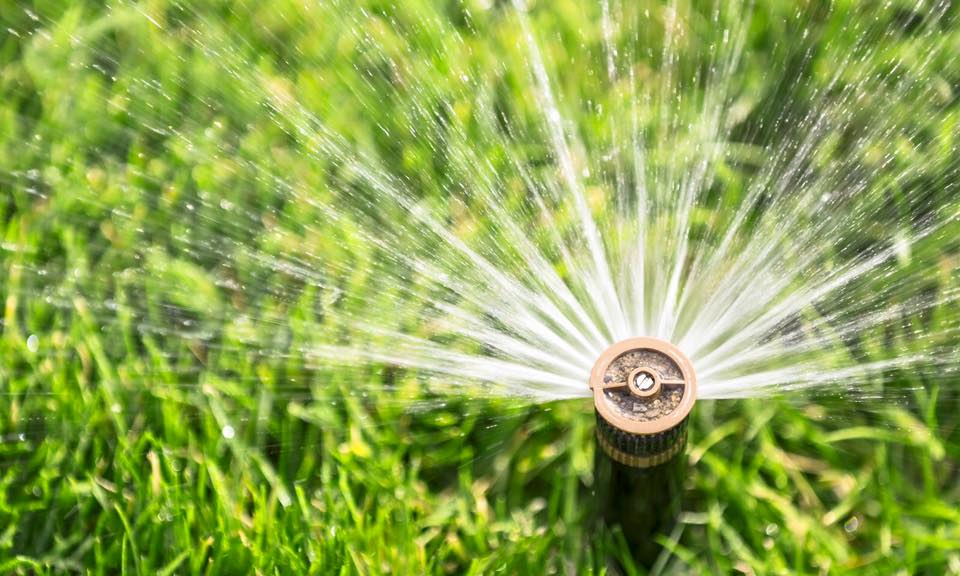 Sprinkler head watering grass
