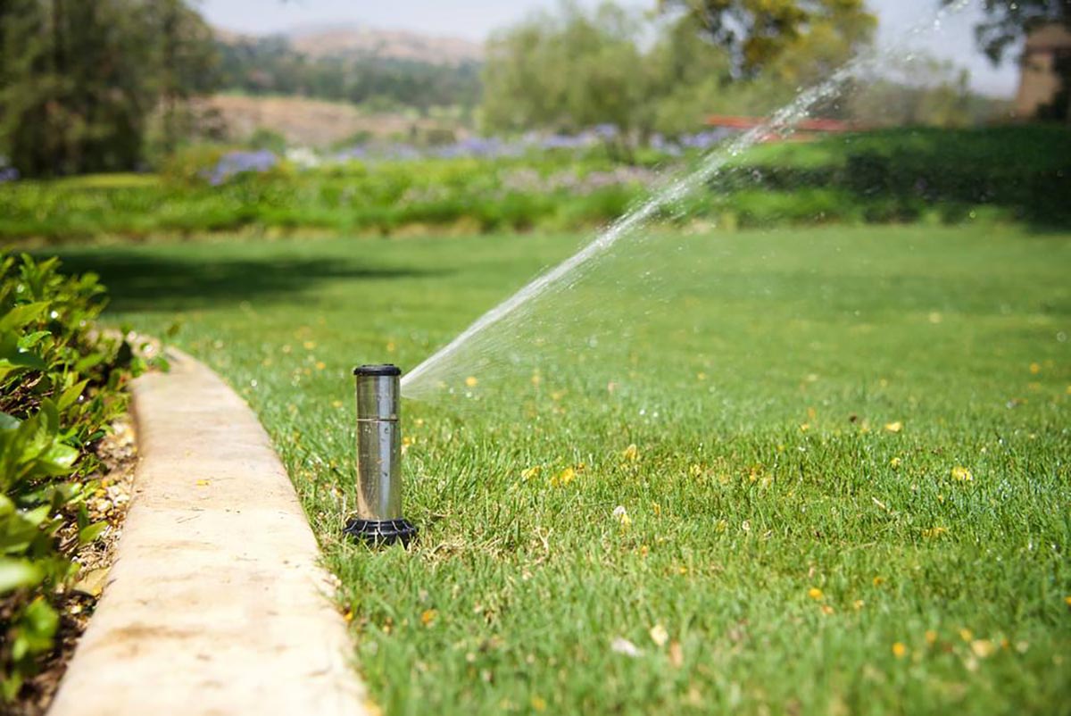 sprinkler head watering green grass