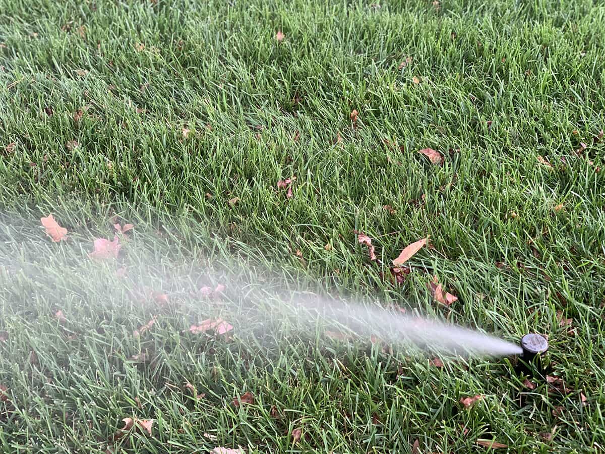 Sprinker shooting water on grass