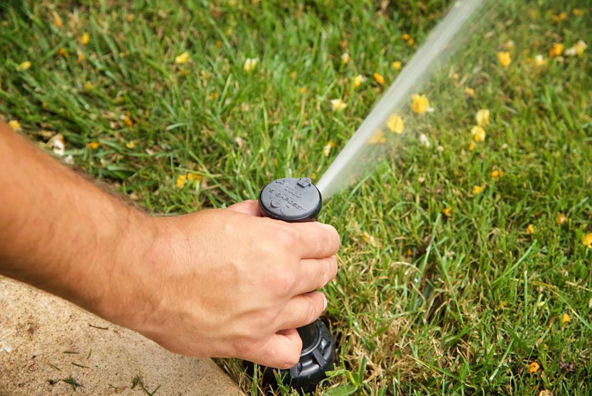 hand holding sprinkler that is watering grass and yellow flowers