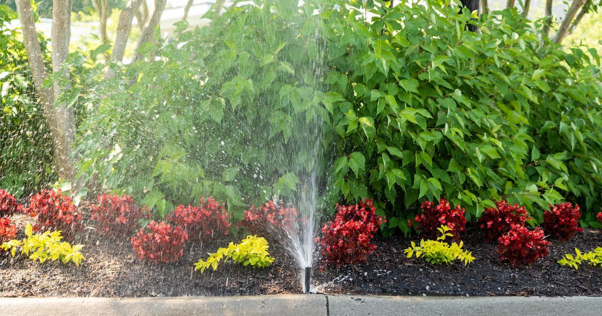 sprinkler in need of repair in Marlboro NJ
