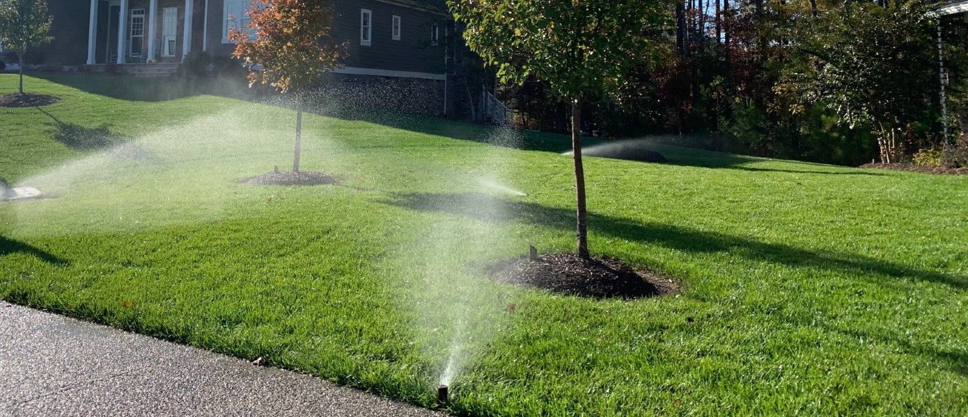 sprinklers watering trees