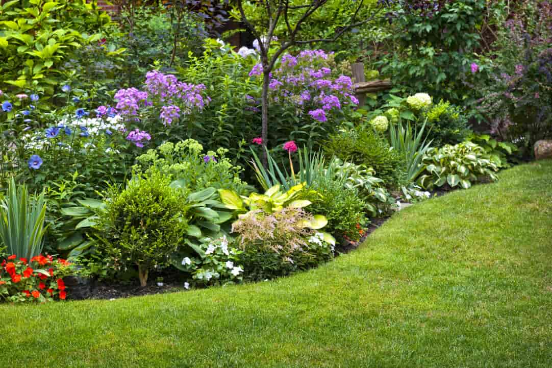 A lush garden with healthy green plants and flowers, watered by a professionally installed irrigation system, representing sustainable gardening during National Garden Month