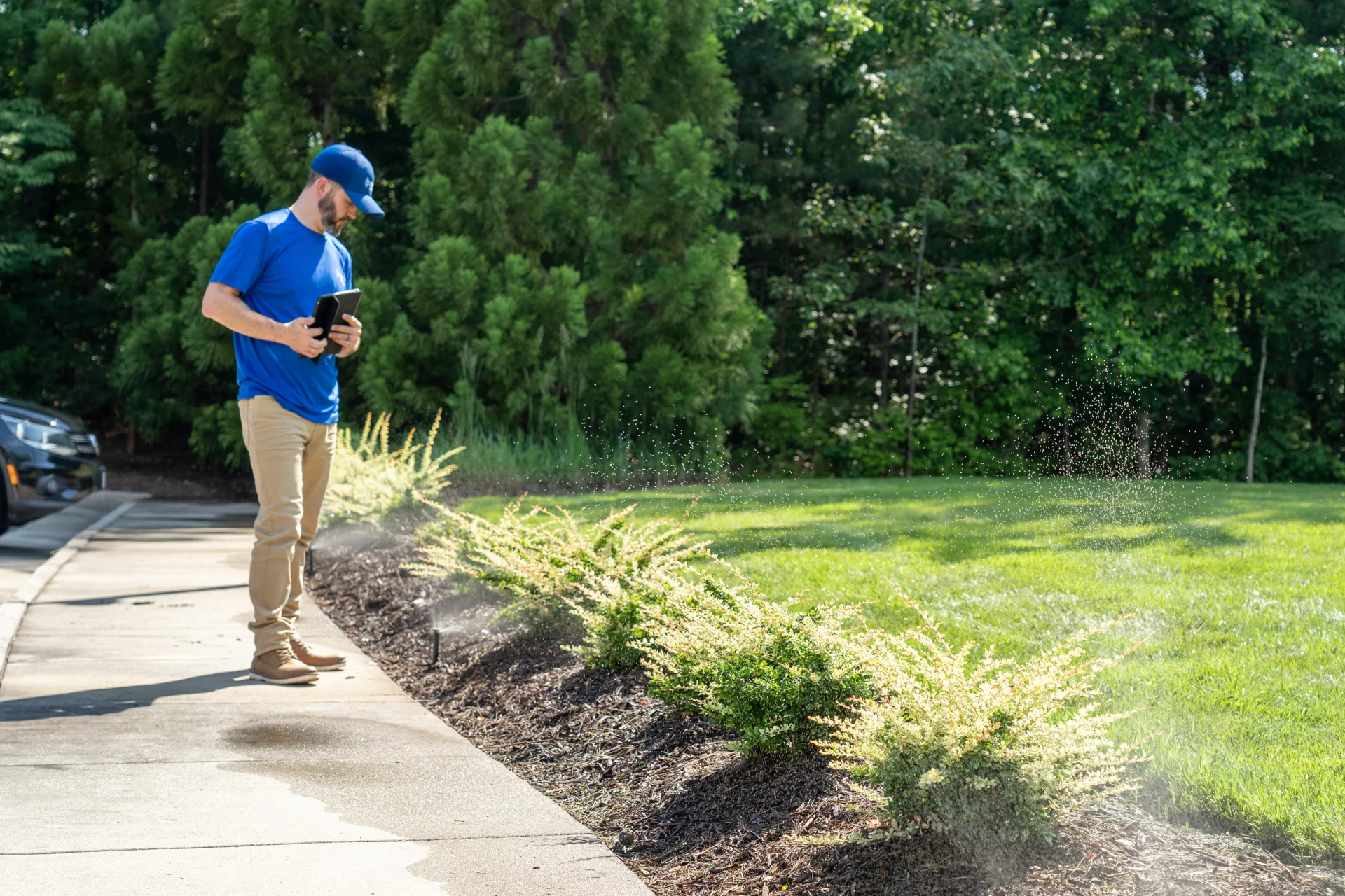 Irrigation Inspection