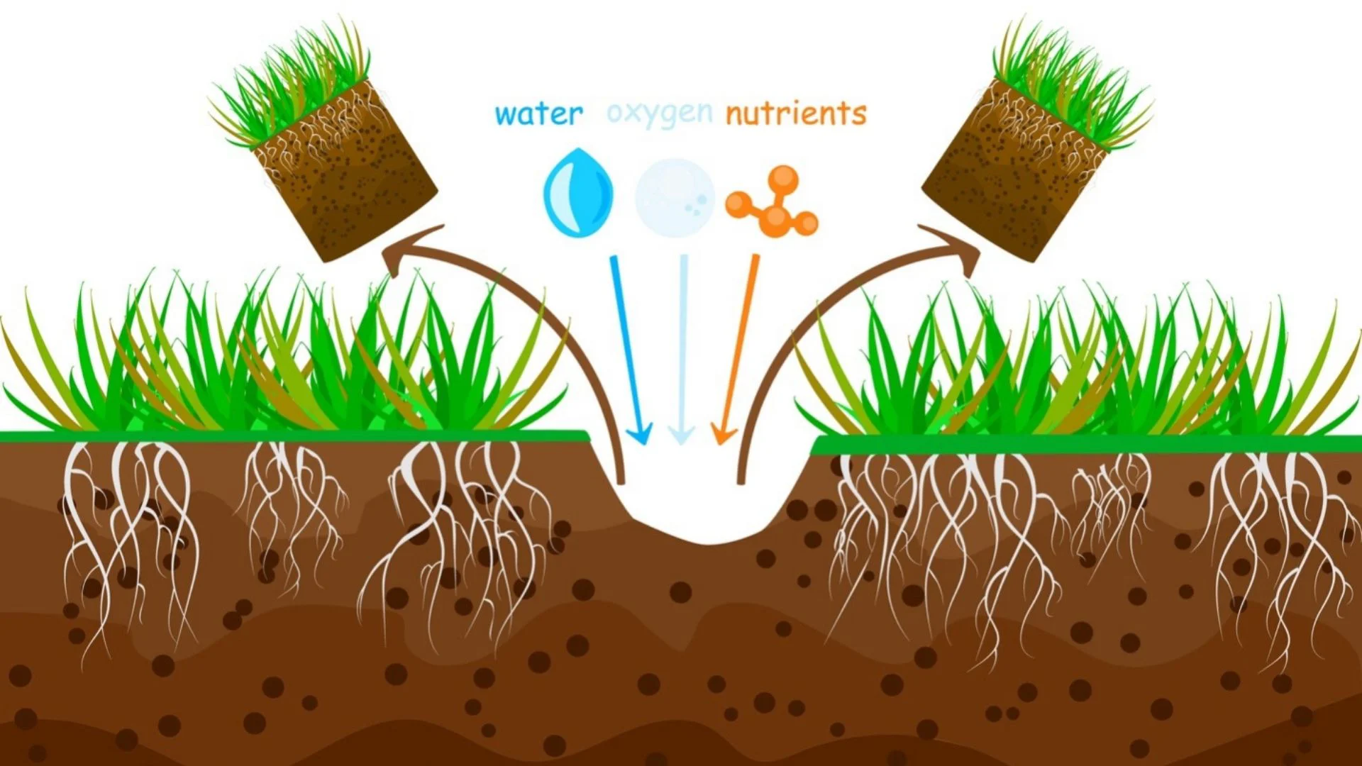 how core aeration works - lawn irrigation tips