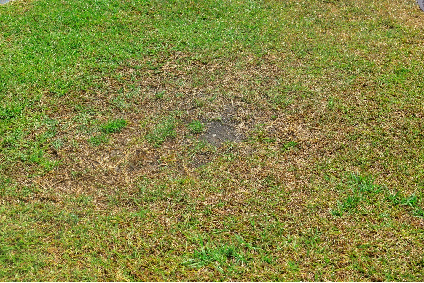 irrigation warning signs