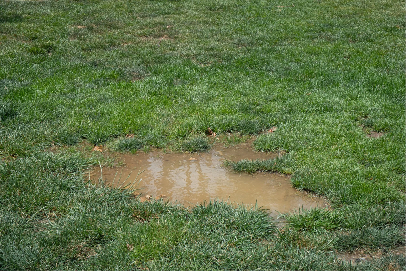 Do you have standing water around your irrigation system?